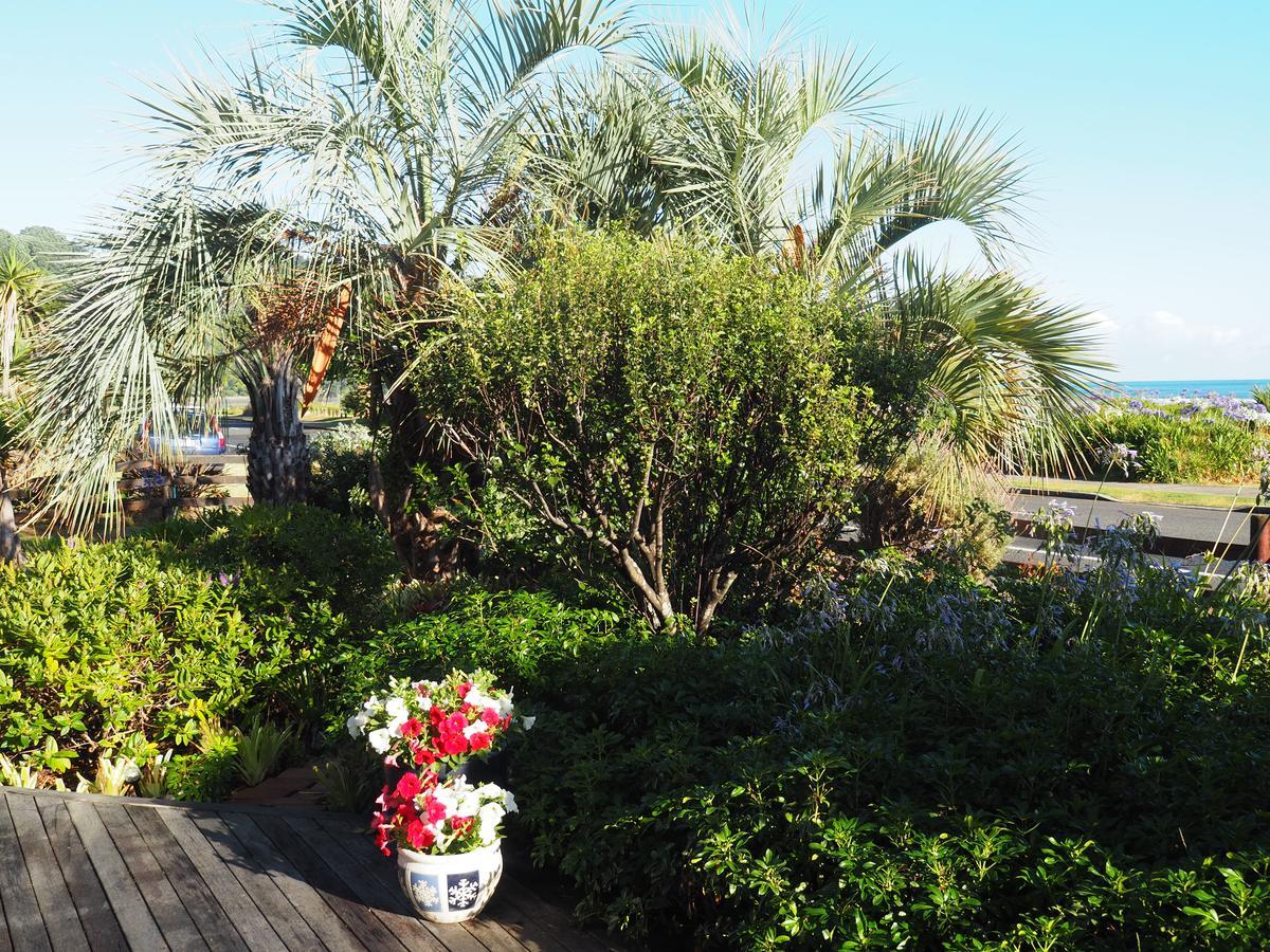 Ocean View Aparthotel Ohope Exterior photo